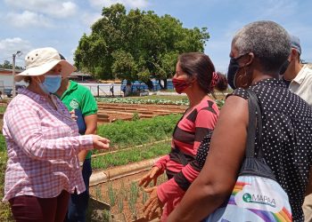 En Artemisa necesitamos muchas Rebecas" refirió Turruellas en su visita al Organopónico Centro, de la UEB Granja Urbana en la cabecera provincial