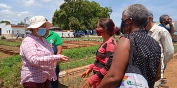 En Artemisa necesitamos muchas Rebecas" refirió Turruellas en su visita al Organopónico Centro, de la UEB Granja Urbana en la cabecera provincial