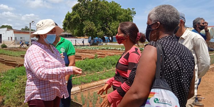 En Artemisa necesitamos muchas Rebecas" refirió Turruellas en su visita al Organopónico Centro, de la UEB Granja Urbana en la cabecera provincial