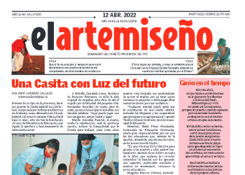 Edición 14 de el artemiseño