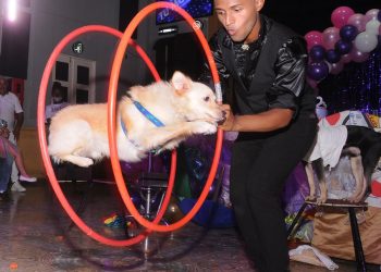 Brayan Pérez López, el mago de los animales