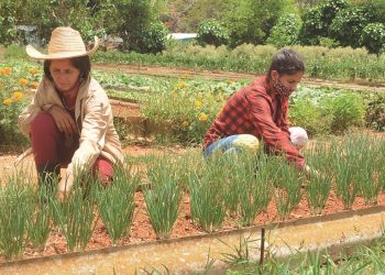 Madres tenaces, trabajadoras, admirables / Foto: Otoniel Márquez