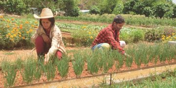 Madres tenaces, trabajadoras, admirables / Foto: Otoniel Márquez