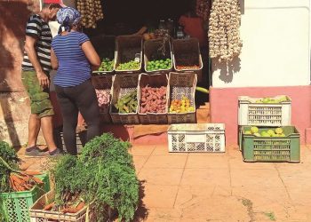 PUNTO de venta de la calle 70, entre 39 y 41 (TCP) con más de 27 productos, a precios más elevados que los kioscos estatales y de mayor aceptación por su calidad