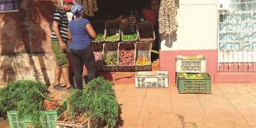 PUNTO de venta de la calle 70, entre 39 y 41 (TCP) con más de 27 productos, a precios más elevados que los kioscos estatales y de mayor aceptación por su calidad