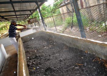 Con dos plantas más como esa, cubrirían el 100% de las áreas cultivadas de la UBPC