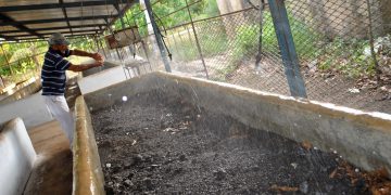 Con dos plantas más como esa, cubrirían el 100% de las áreas cultivadas de la UBPC