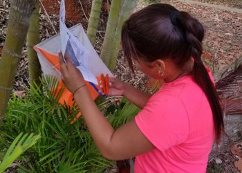 Foto: Tomada del perfil de Facebook Grupo Nacional de Carrera de Orientación en Cuba