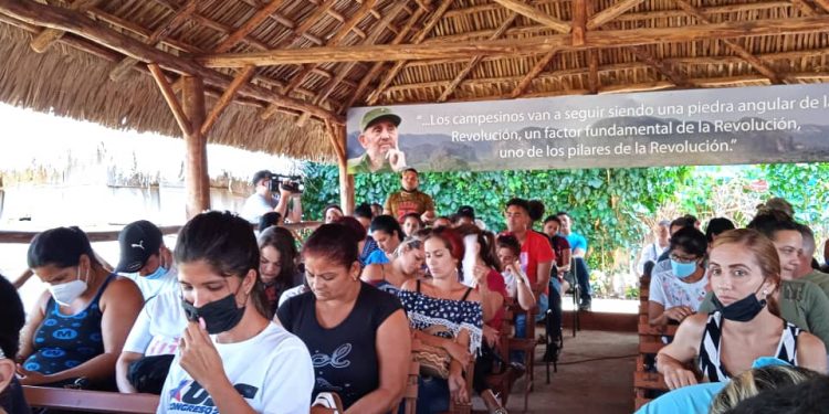 Activo de jóvenes campesinos en Caimito