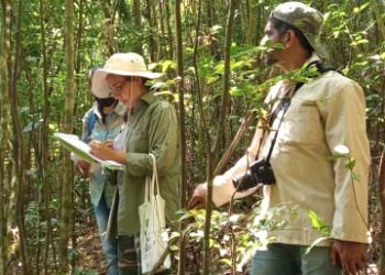 servicios-ambientales