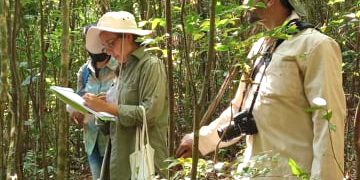 servicios-ambientales