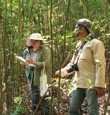 servicios-ambientales