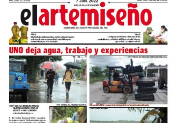Portada edición 22 de el artemiseño