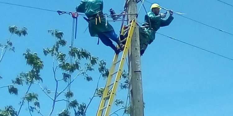 Restablecen paulatinamente servicio eléctrico tras el paso del Ciclón Potencial UNO