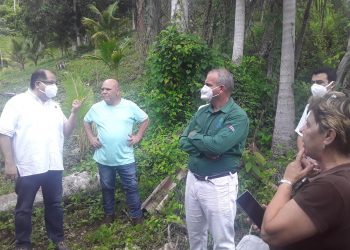 Prometedor impacto de programas del PNUD