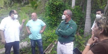 Prometedor impacto de programas del PNUD