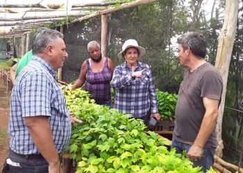 Por alimentos en plazos más cortos