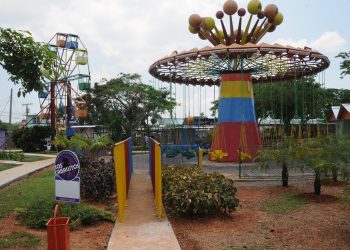 Caballitos de Artemisa