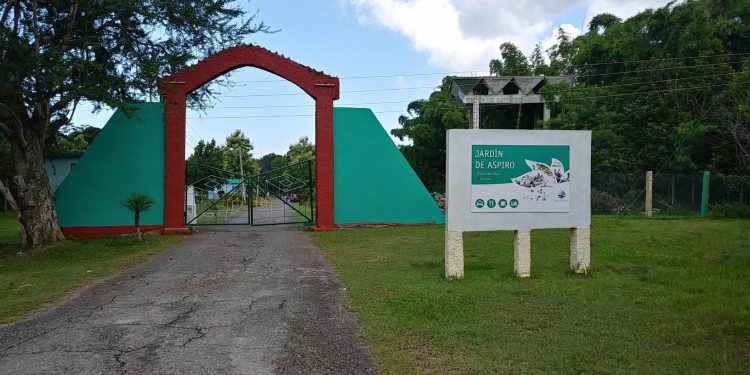 Campismo Jardín de Aspiro