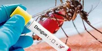 dengue-positivo