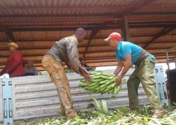 Envíos de solidaridad hasta Matanzas