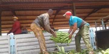 Envíos de solidaridad hasta Matanzas