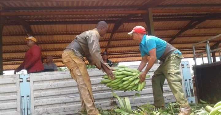 Envíos de solidaridad hasta Matanzas