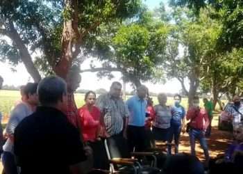 Evalúa Comité Central del Partido siembra de alimentos en Artemisa