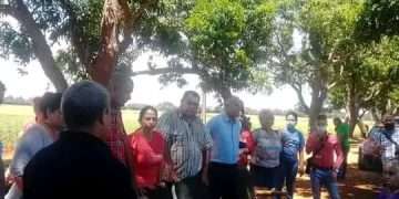 Evalúa Comité Central del Partido siembra de alimentos en Artemisa