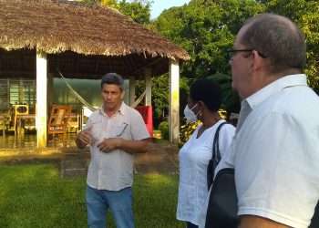 Bancos artemiseños cerca de los campesinos