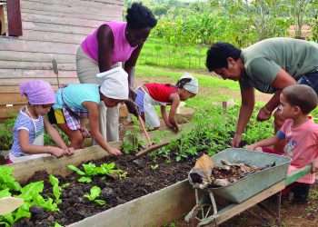 Cuanto seamos capaces de lograr en palacios y círculos de interés en aras de la formación vocacional, será un triunfo en nombre de un mejor futuro.
