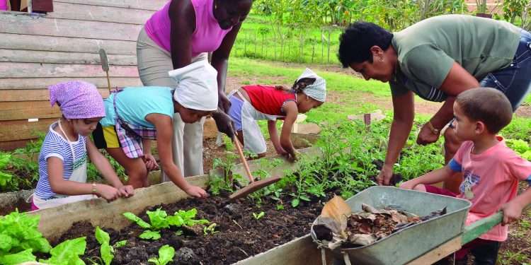 Cuanto seamos capaces de lograr en palacios y círculos de interés en aras de la formación vocacional, será un triunfo en nombre de un mejor futuro.