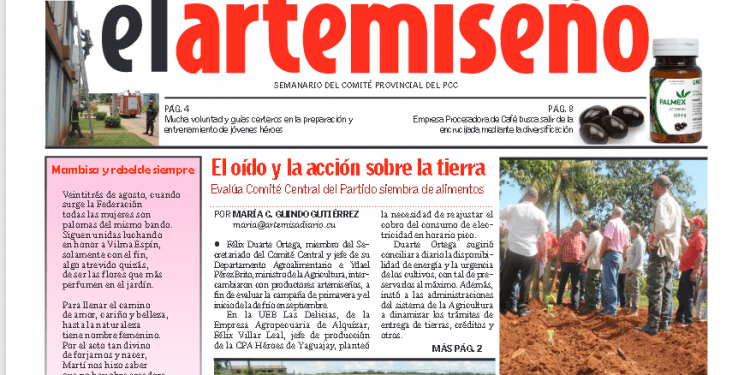 Portada de la edición 33 de el artemiseño