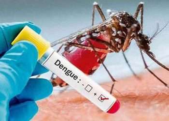 Amenaza el Aedes aegypti otra vez