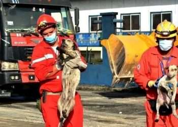 Javier y Rafael, miembros de la Cruz Roja protagonizan la nobleza que muestra esta imagen. / Foto: Tomada de Internet