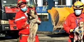 Javier y Rafael, miembros de la Cruz Roja protagonizan la nobleza que muestra esta imagen. / Foto: Tomada de Internet