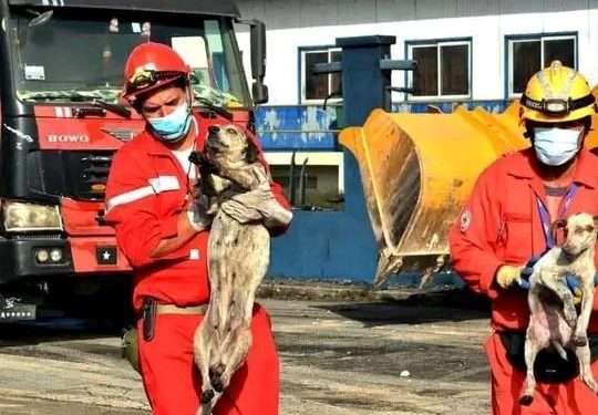 Javier y Rafael, miembros de la Cruz Roja protagonizan la nobleza que muestra esta imagen. / Foto: Tomada de Internet