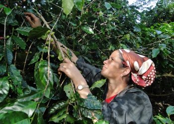 Foto: Tomada de Cubadebate