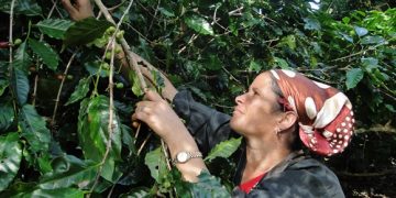 Foto: Tomada de Cubadebate