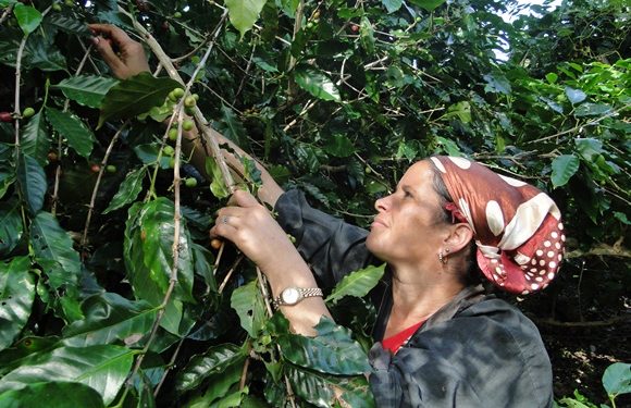 Foto: Tomada de Cubadebate