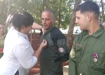 Medallas a la valía de los artemiseños