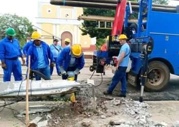 Artemisa en fase recuperativa