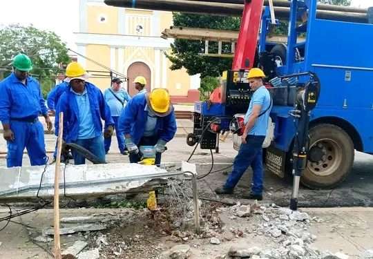 Artemisa en fase recuperativa