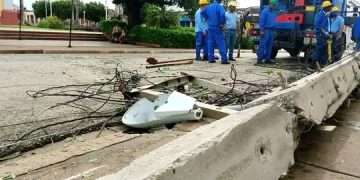 Artemisa en fase recuperativa