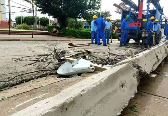 Artemisa en fase recuperativa