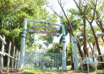 bosque-martiano-ariguanabo