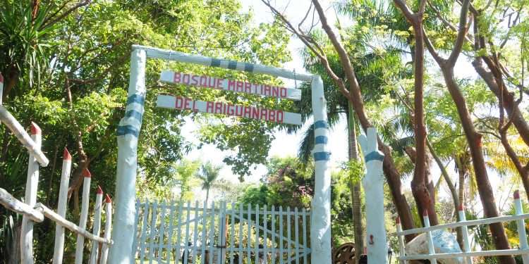 bosque-martiano-ariguanabo