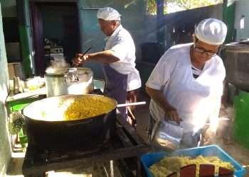 elaboracion-alimentos-artemisa