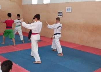 academia-ariguanabense