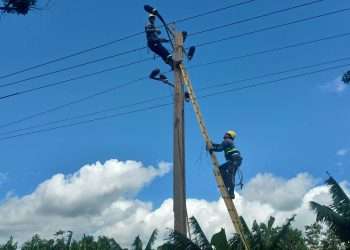 Con servicio eléctrico más del 65 por ciento de los clientes artemiseños